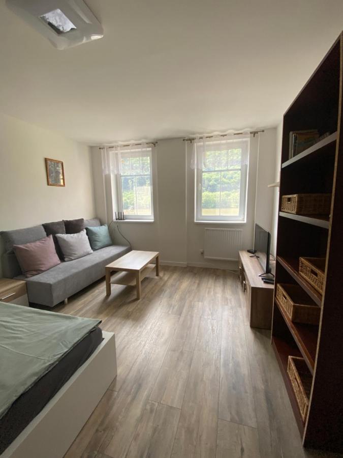 Apartmány U Viaduktu 46 Usti nad Labem Bagian luar foto